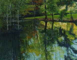 Forest Reflections Forest Reflections