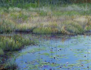 Lilypad Marsh Lilypad Marsh
