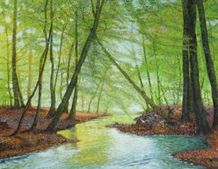 Stream Reflections Stream Reflections